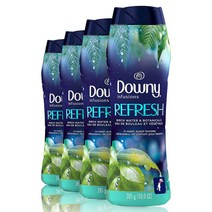 미국 다우니 인퓨전 리프레쉬 섬유유연제 버치 워터 보타니칼 285g x 4팩 Downy Infusions Refresh