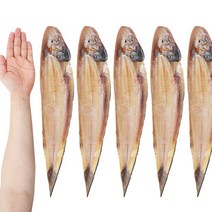웰빙곳간 청정해역 군산직송 박대 대왕특대 40cm 5마리