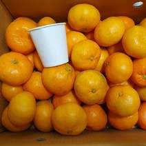 제주 하우스귤 쥬스용 감귤 못난이귤 대과(40-50과내외) 10kg, 1개