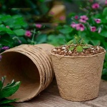 화분포트 종이포트 육묘컵 삽목상자 펄프 10개 사각 8cm, 단일옵션