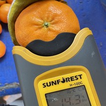 못난이레드향 12브릭스이상 레드향10kg 혼합 산지직송, 레드향-5kg