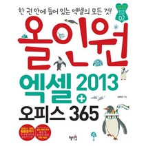 올인원 엑셀 2013 + 오피스 365