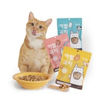 밸리스 고양이 이빨 과자 연어 100g, 연어맛, 1개