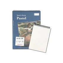 세르지오 파스텔전용 스케치북 160g 스프링패드 / 사이즈, 24x32cm 스프링패드 CE2254