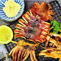 건강의정석 통영먼바다 최상품 반건조 오징어 10미, 2) 반건조 오징어(중) 1kg 10미, 1개