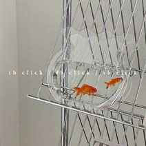 아크릴 베타어항 꽃꽂이 인테리어 아크릴 플라스틱 꽃병 물고기, 투명