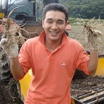 (햇삼/750g)다림용난발삼 세척인삼 쭉뻗은 원수삼 영업용삼계.가정용실속파삼특가/선물용행사/금산부부인삼.못난이난발삼추천, 1개, (20)750g비세척 굵은막파삼8-13뿌리