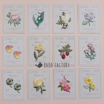 플라워 가든 와펜 꽃 자수 열접착 아플리케 패치 장식, 제비꽃