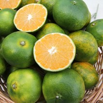 이베따 [대진작목반] 제주 감귤 5kg(2S-M), 단품없음