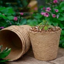 삽목상자 삽목판 화분포트 화분가꾸기 원예용품 원형 10cm 10개, 단일옵션