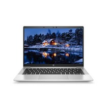 HP 2021 프로북 635 Aero 13 라이젠 3세대 4500U 8G 256G, Free DOS, 실버, 8GB, 256GB, 라이젠5, 2Z8Y6PA