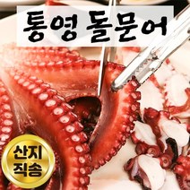 제철 통영 문어 자연산 돌문어 생문어 활문어 생물문어 통문어 제수용 제사용 1kg 2kg, 돌 문어 1kg