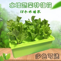 수경 식물 재배기 키우기 가정용 취미생활 대용량 상추 조명 실내 채소, 녹색 수동 수경재배기