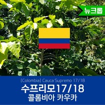 콜롬비아 수프리모 17/18 up 1kg 직수입 생두 Supremo 세웅지씨, 1개