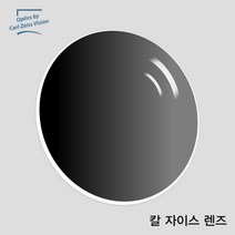 칼자이스 CR-39 UV 차단 선글라스 6커브 렌즈 / Carl Zeiss