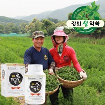 강화 개똥쑥환 150g 강화쑥환 강화약쑥마당, 1개입