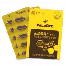종근당 와일드 비 프로폴리스 약 2개월분 면역력 높이는 구강 목 잇몸 염증 에좋은 영양제, [10%할인] 3박스, 3개