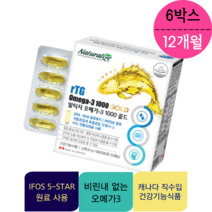 초임계알티지오메가3 장용성 캐나다 복용법 12개월