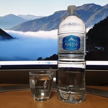 2L 500ml 천연 알카리수 미네랄워터 생수 먹는샘물 천연암반수 물, 지리산수 500ml x 60병 : 1박스