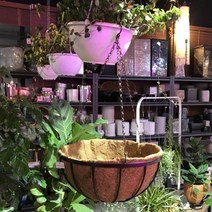 제이트리공중걸이 행잉 원형 일반형 소 20cm 화분 걸이식 미니 바구니 예쁜 부양 인테리어 감성+jaytreㄷ