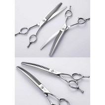 애견 가위 손질 전문 샵 반려견 도구 정리 일자 곡선, 8인치 곡선 피쉬 가위