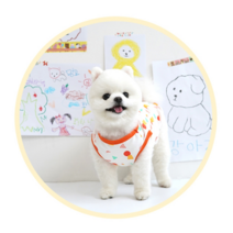 스트릿 패션 티셔츠 블루 닥스훈트옷
