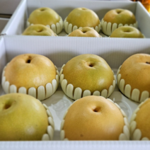 5kg 7.5kg 프리미엄 추석배 햇배 화산배, 7.5kg(9-11과), 1개