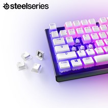 스틸시리즈 PrismCAPS 푸딩 PBT 키캡 영문 (화이트)