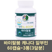 남자아연 알부민 징크 아연 난백 호손베리 로얄제리 인삼 분말 임신준비 글루콘산아연 영양제 캐나다 식약처 간건강 신장 수술후 면역력 가족, 3통, 60캡슐