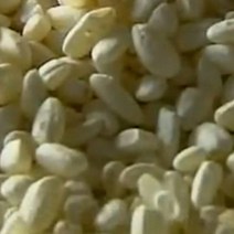 국내산 쌀알누룩(입국)/누룩소금 쌀요거트 제조용/무료배송, 1개입, 500g