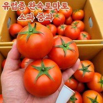 유럽종 완숙 찰 토마토, 2kg(소), 1개