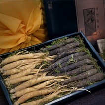 강원도 야생더덕 산더덕 생더덕 횡성더덕 자연산더덕 더덕 차 요리 구이 무침 주 주스 진액 깐 선물 겨울더덕, 건강선물세트