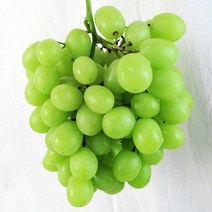 오톰크리스피 페루산 애플 청포도 씨없는 청포도, 3kg내외