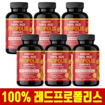 브라질 레드 프로폴리스 100% 가루 캡슐 6개월분 플라보노이드 효능 추천 직구, 6병, 60캡슐, 60정