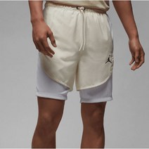 나이키 국내 매장판 조던 드라이핏 쇼츠 DZ0574-110