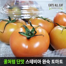 이츠올릿 산지직송 꿀맛 스테비아 완숙 찰 토마토 1kg 단 토망고