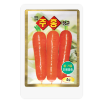 주홍당근씨 4g 당근 씨앗 대장 동원종묘