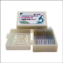 영구 프레파라트 식물편 A형(10pcs)
