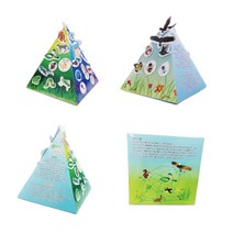 먹이사슬 생태계 피라미드 모형만들기 5인 초등 홈스쿨 개체 자연과학 탐구