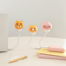 카카오프렌즈 어피치 라이언 춘식이 USB 램프