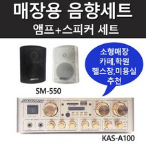 매장용앰프 KAS-A100 매장용스피커 SM-550 2개 매장음향설치셋트 매장음향셋트, 화이트