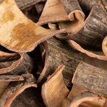 국산약초 산청목피 벌나무 껍질 600g, 1C98_국산 산청목피 600g