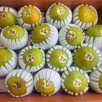 글로벌 핫 인기만점 태추 단감, 1박스, 2kg(9과내외)