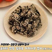 실외 캐터링 친환경 위생 일회용접시 원형 23cm