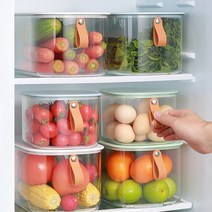 투명 트레이 팬트리 냉장고 정리