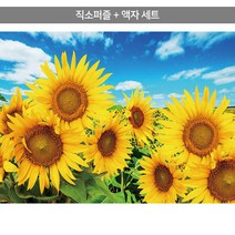 에이모노 깨지지 않는 포토월 액자세트 PET안전창 5p 세트, 화이트