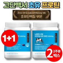 뉴질랜드 프리미엄 초유 단백 분말 WPC WPI ISP MPC 성장기 유아 청소년 시니어 아침 단백질 쉐이크, 2통, 280g, 2개