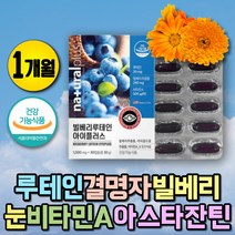 빌베리 안토시아닌 마리골드꽃 눈피로 루테인 영양제 안토시아노사이드 항산화제 마리골드꽃추출물 아이 어린이 키즈 주니어 눈영양제 눈건강 비타민A 베타카로틴 결명자 눈건강