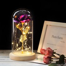 화병 도자기 유리 돌 6색 아름다움과 야수는 유리 돔에 발렌타인 선물 LED 로즈 램프 크리스마스, 05 purple