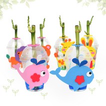 개운죽키우기 동물친구들 (10인용), 혼합